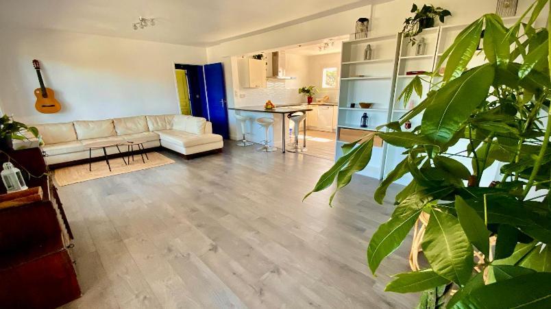 Sewa Surf House 10Min De Capbreton Hossegor Hotell Bénesse-Maremne Eksteriør bilde