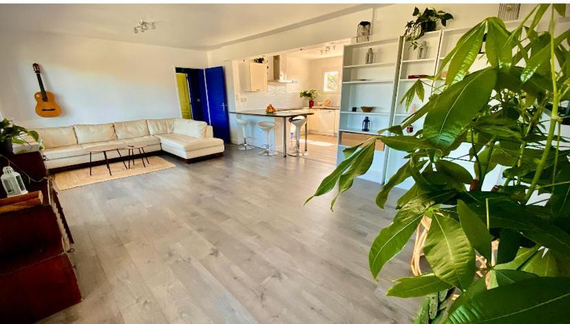 Sewa Surf House 10Min De Capbreton Hossegor Hotell Bénesse-Maremne Eksteriør bilde